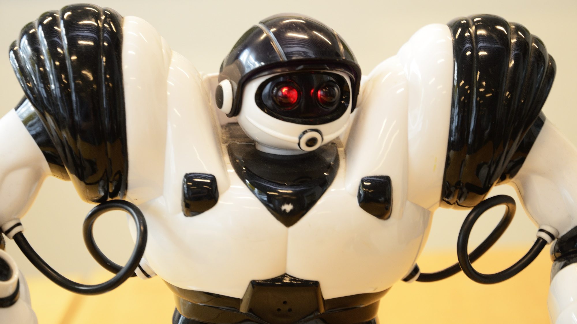 Robosapien v1.0